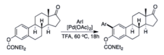 estrone arylation