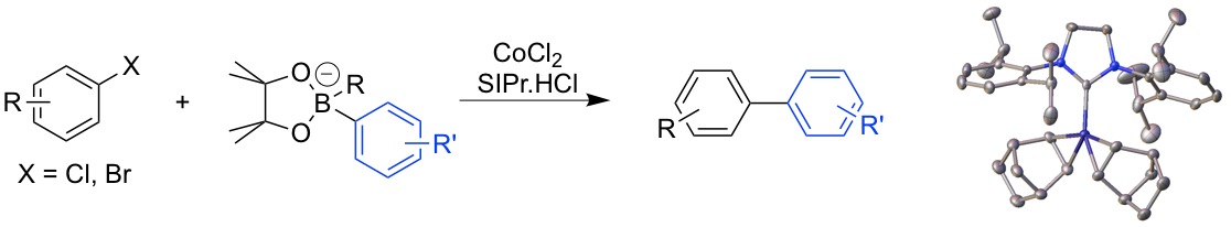 Co suzuki graphical abstract